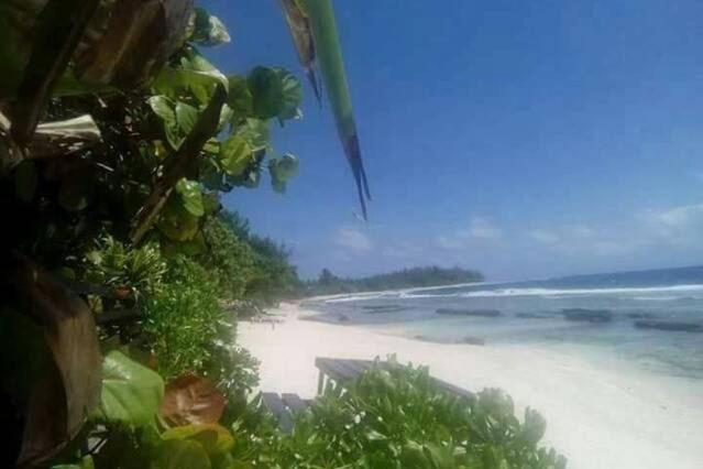 Moorea Temae Bungalow Lory Bord De Mer المظهر الخارجي الصورة