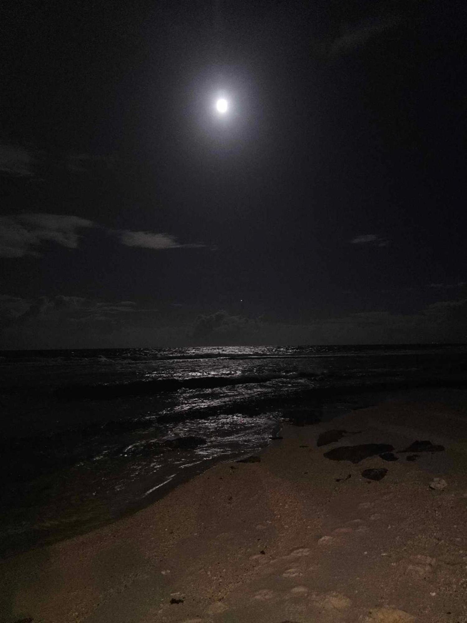 Moorea Temae Bungalow Lory Bord De Mer المظهر الخارجي الصورة