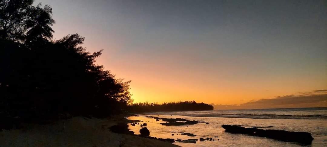 Moorea Temae Bungalow Lory Bord De Mer المظهر الخارجي الصورة